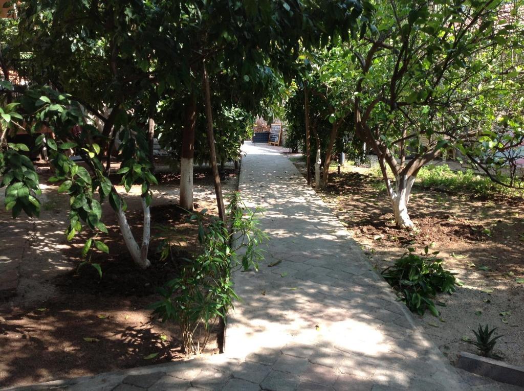 Ilkiz Beach Hotel Oludeniz Kültér fotó